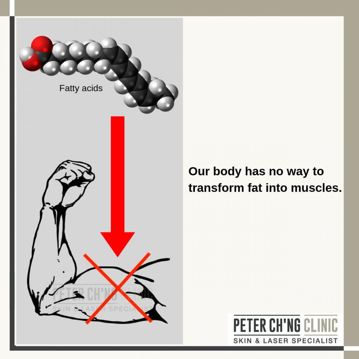 Our body has no way to transform fat into muscles